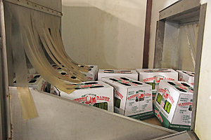 Asparagus Boxes on conveyor belt.